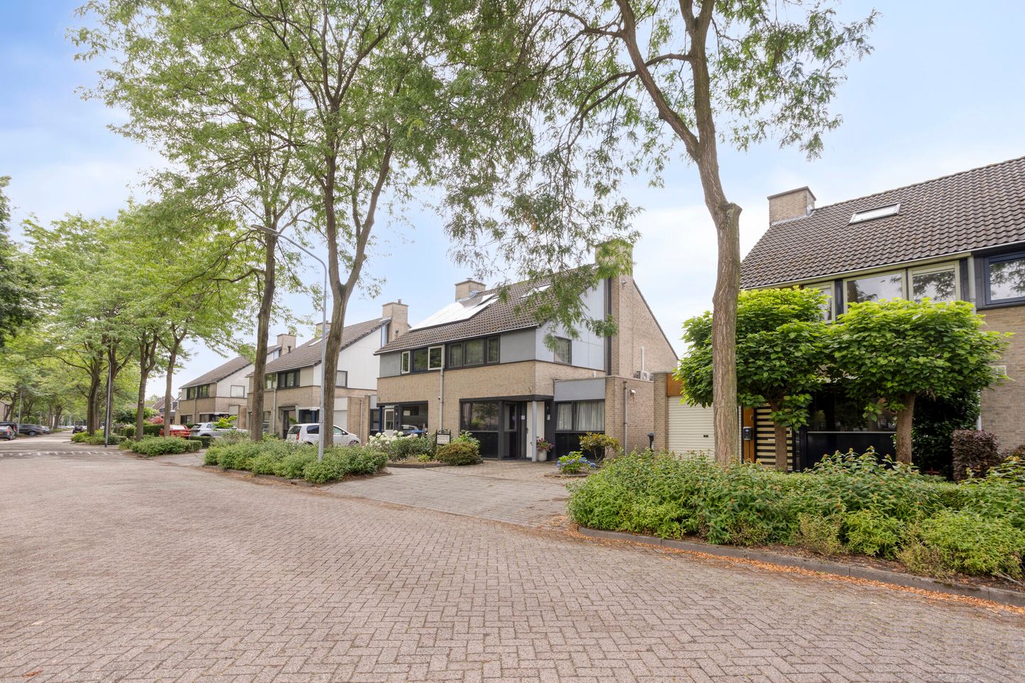 Photo 25 of Dieze 87