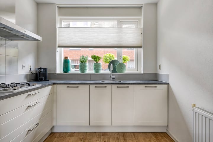 Foto 16 van Piet van Damlaan 24