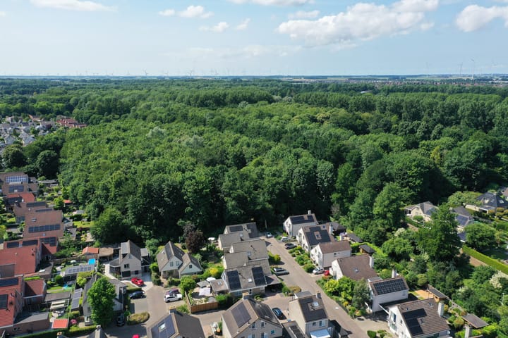 Foto 40 van De Galop 9