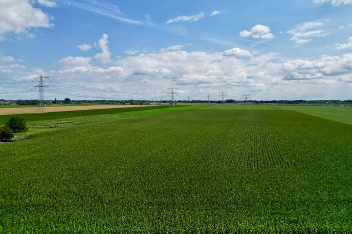 Photo 44 of Stougjesdijk 115