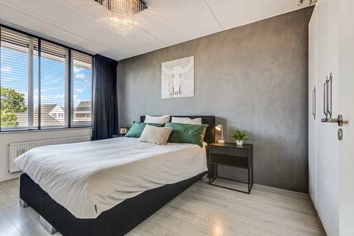 Foto 3 van Vroege van Tol 45