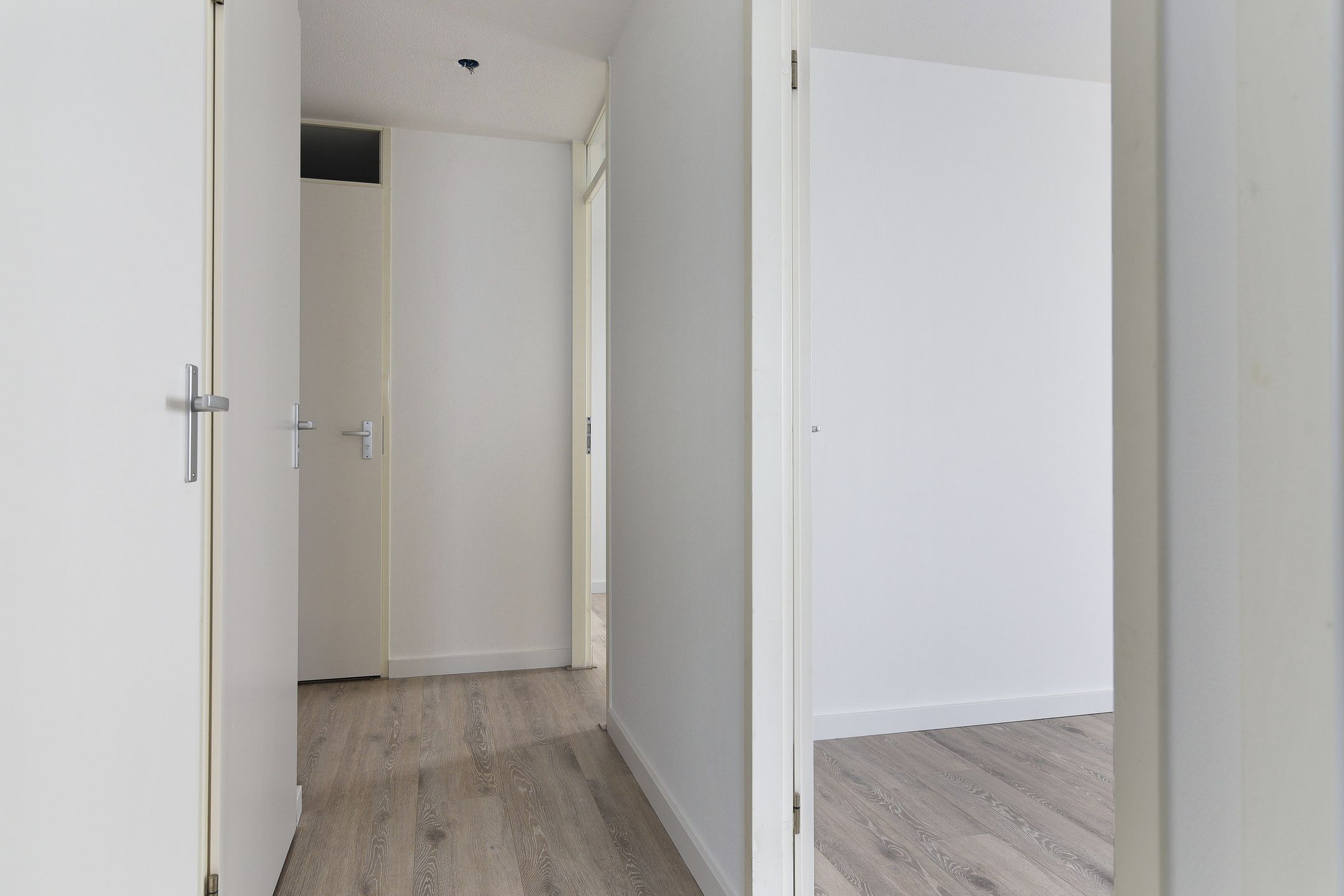 Photo 9 of Torenmolen 8