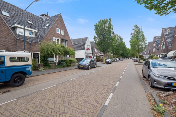 Foto 53 van Theresialaan 56