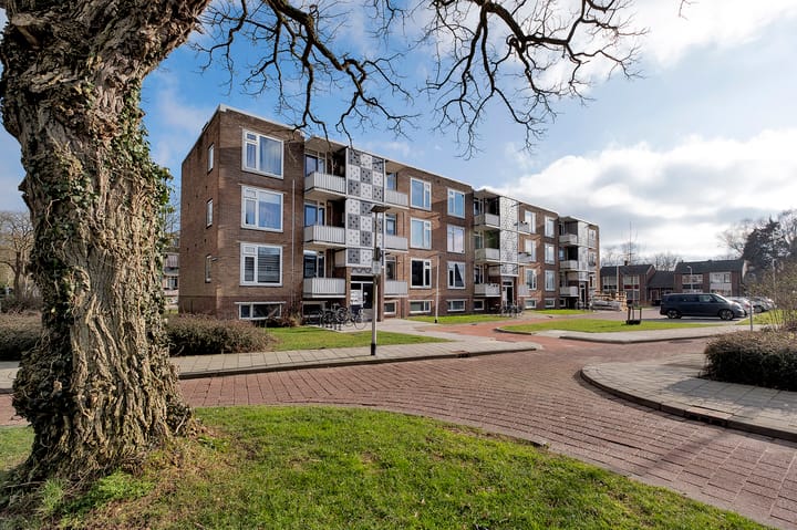 Foto 24 van Gerard Doustraat 13