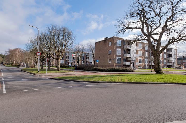 Foto 27 van Gerard Doustraat 13