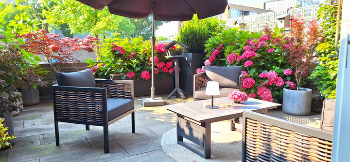 Foto 5 van Wethouder van Eschstraat 141