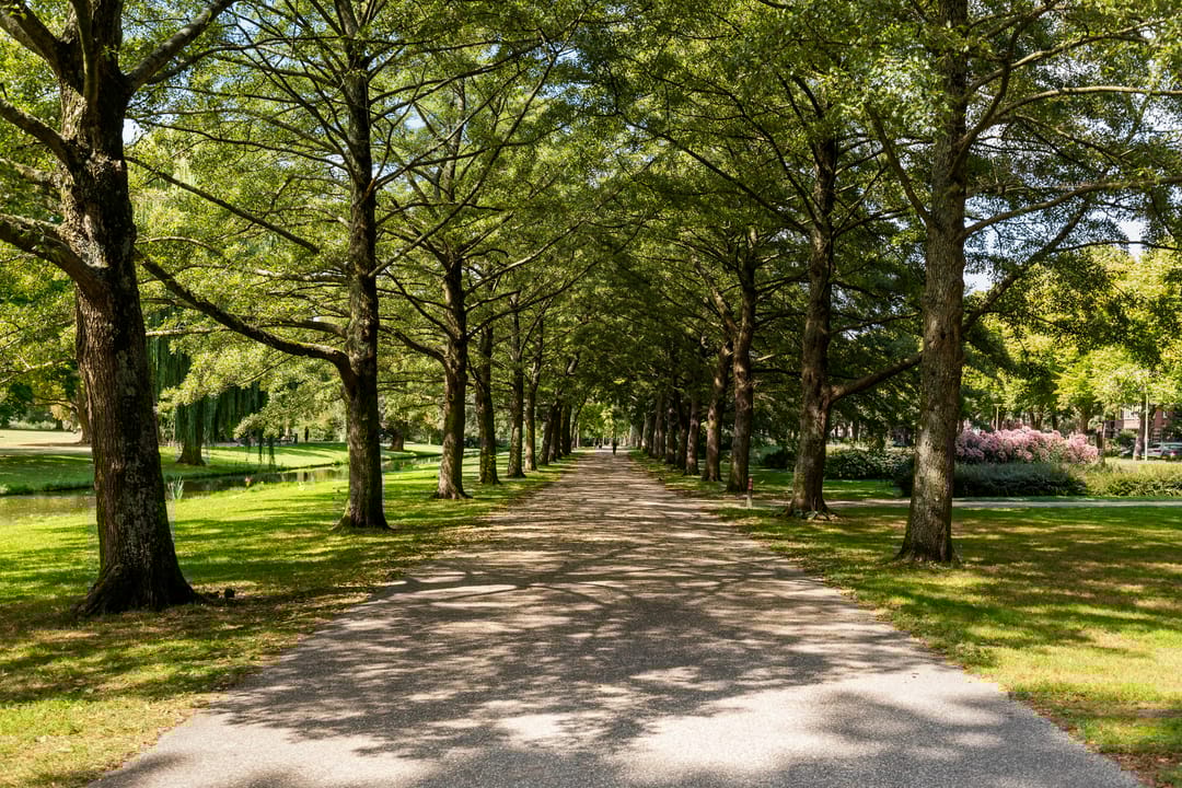 Foto 47 van Nicolaas Ruyschstraat 6-02