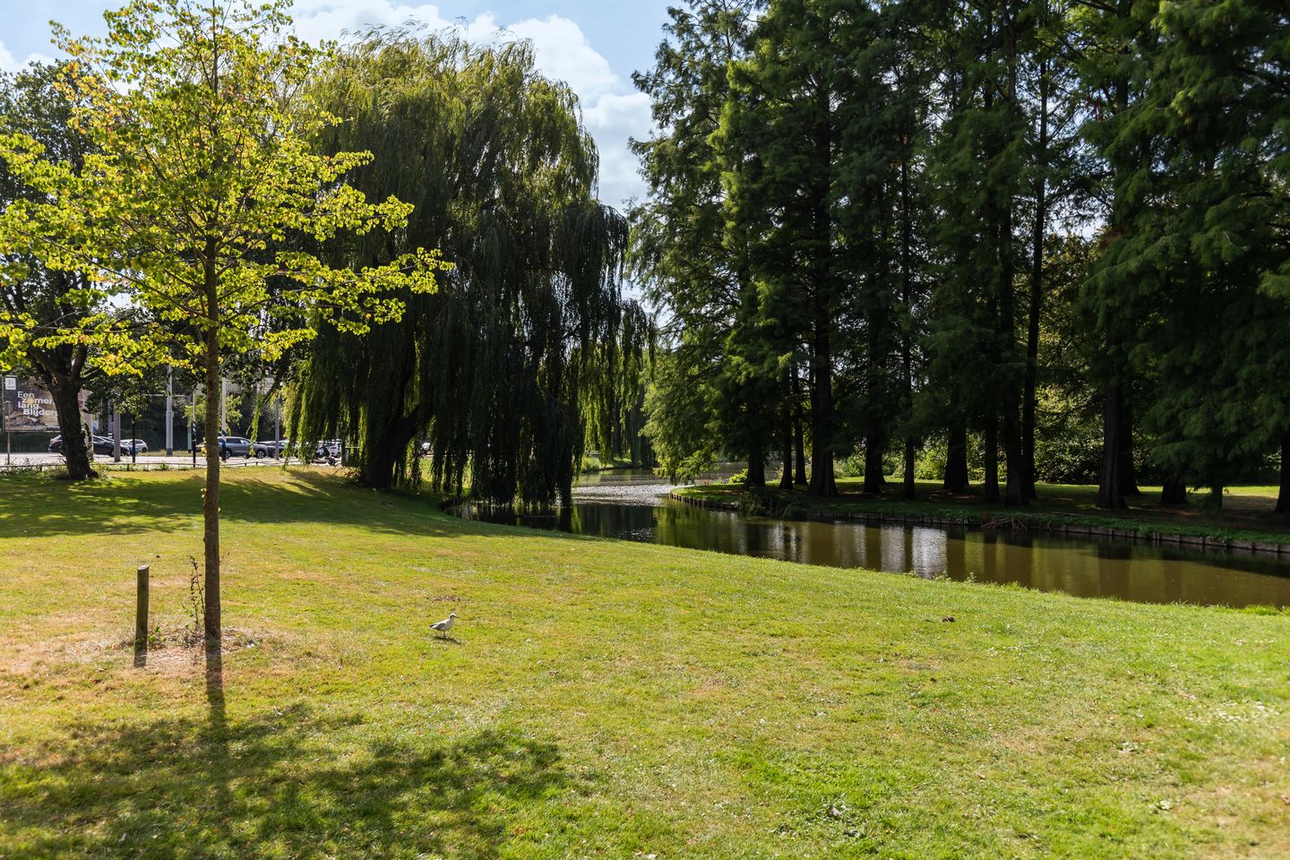 Foto 50 van Nicolaas Ruyschstraat 6-02