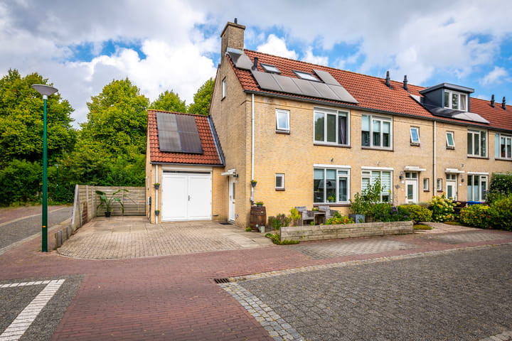 Foto 1 van Koekoeksbloem 104