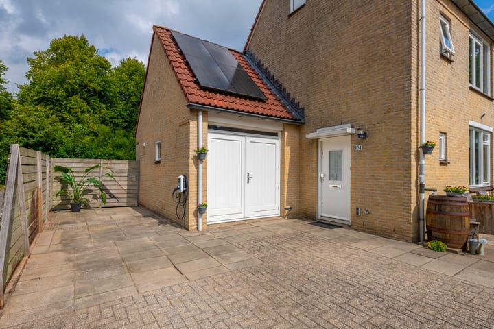 Foto 2 van Koekoeksbloem 104