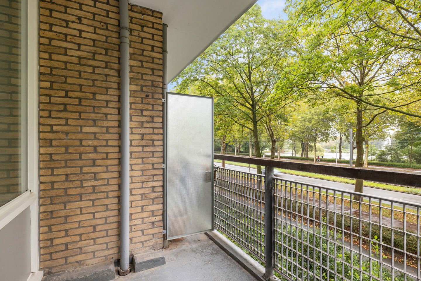 Foto 4 van Livingstonelaan 474