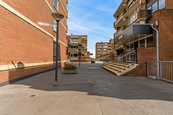 Foto 25 van Poolster 254