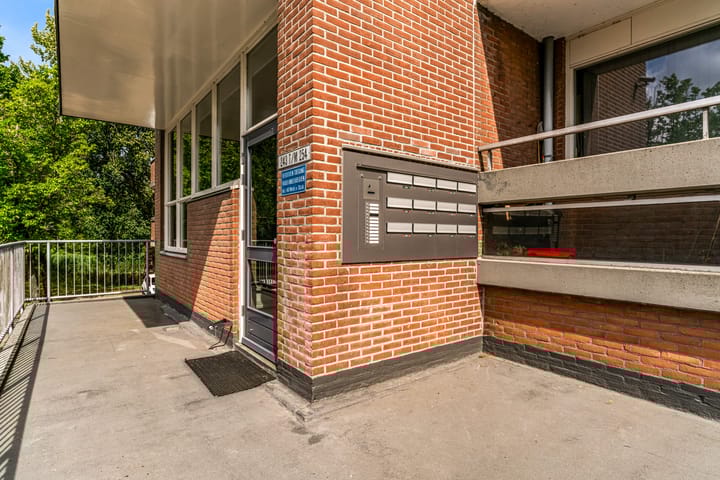 Foto 26 van Poolster 254