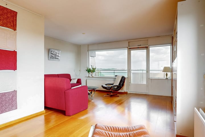 Foto 7 van Poolster 254