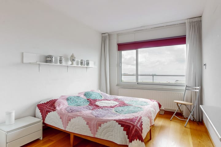 Foto 19 van Poolster 254