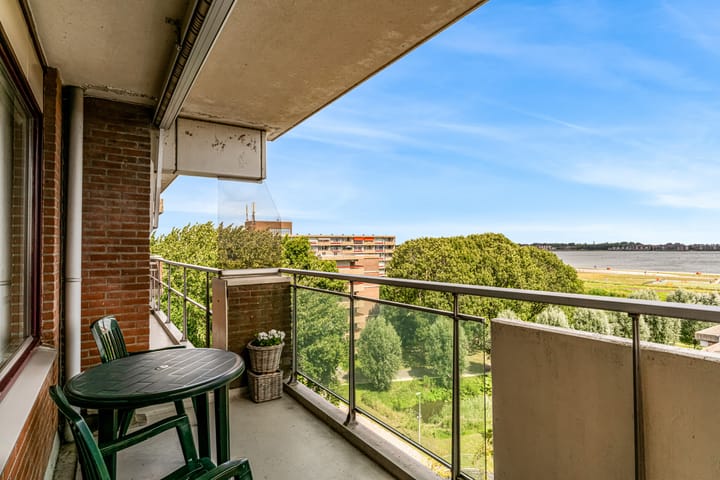 Foto 13 van Poolster 254