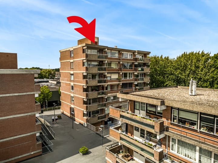 Foto 23 van Poolster 254