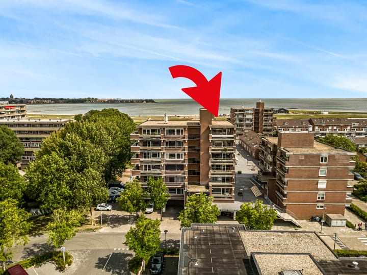 Foto 24 van Poolster 254