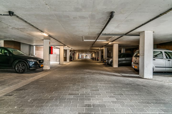 Foto 31 van Poolster 254