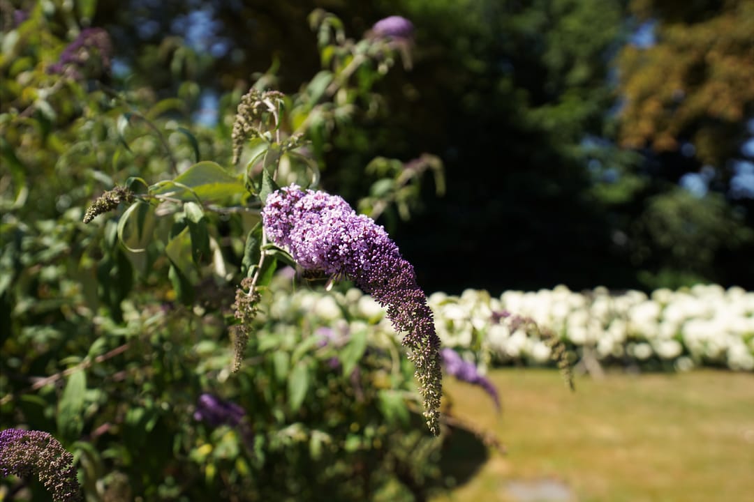 Photo 47 of Fokko Kortlanglaan 126