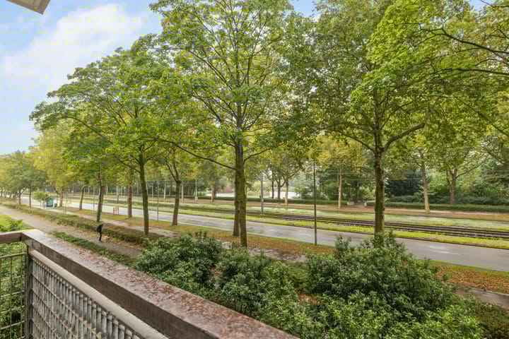 Foto 19 van Livingstonelaan 474