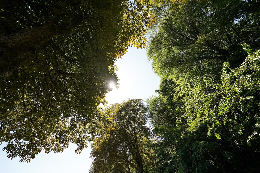 Photo 58 of Fokko Kortlanglaan 126