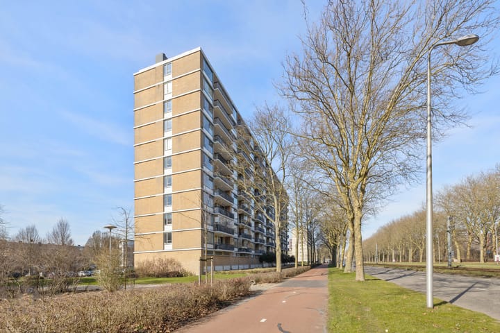 Foto 35 van Livingstonelaan 474