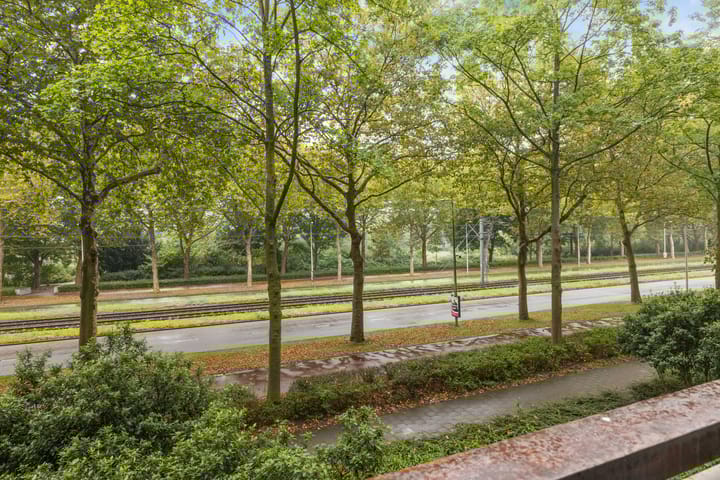 Foto 36 van Livingstonelaan 474