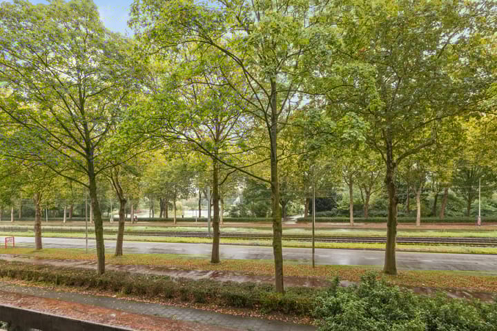 Foto 37 van Livingstonelaan 474