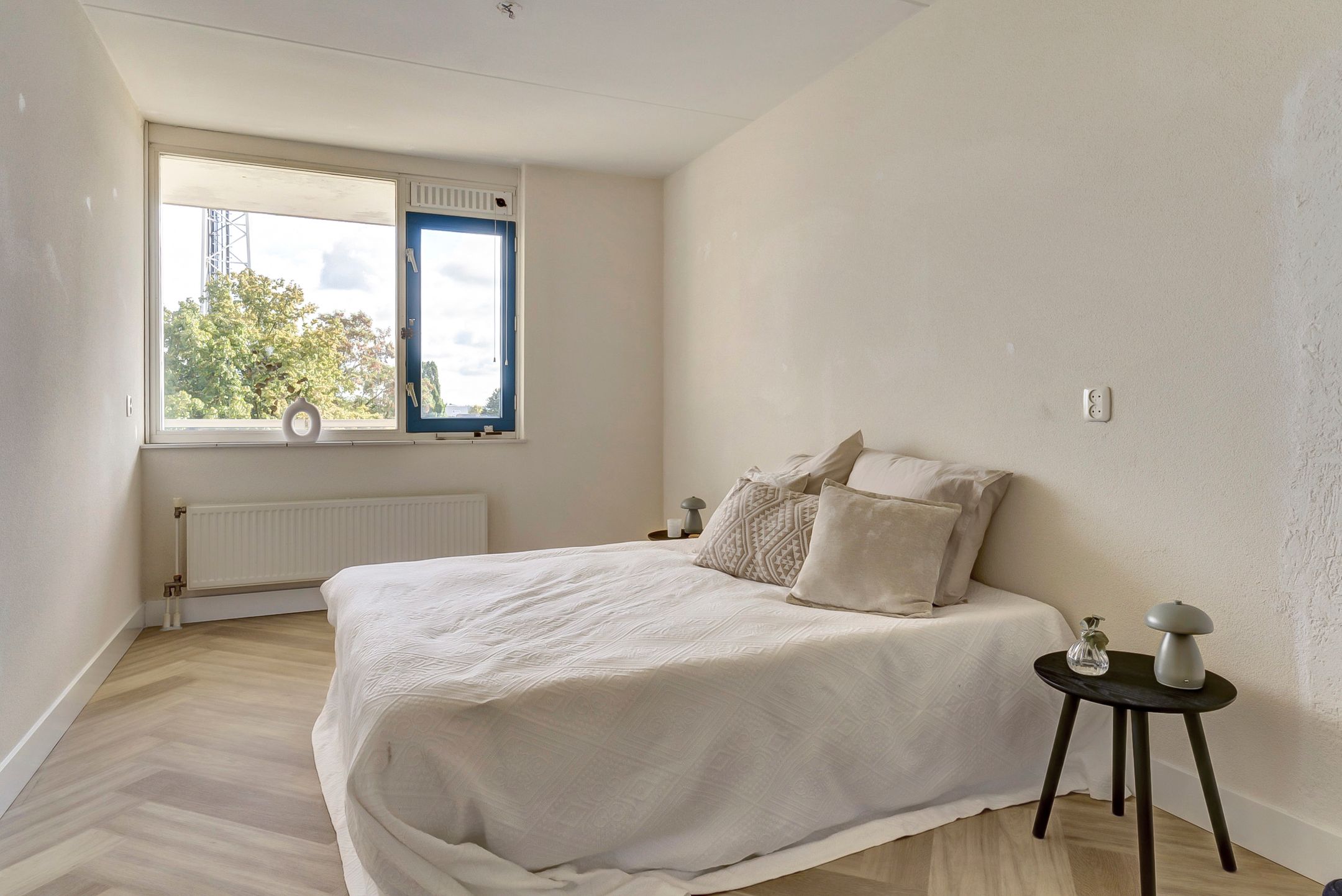 Foto 15 van Pasteurstraat 33