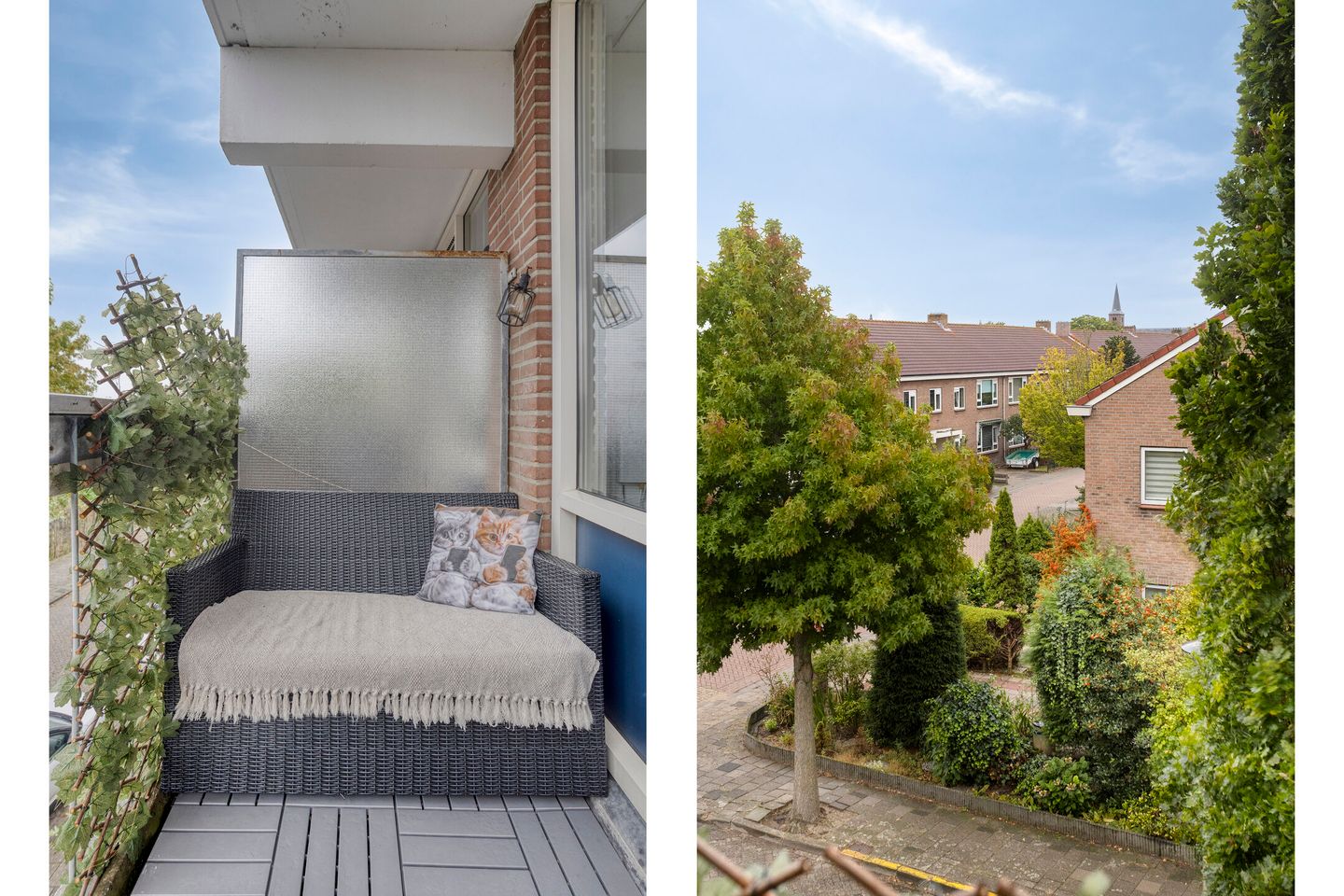 Photo 14 of Braambos 13