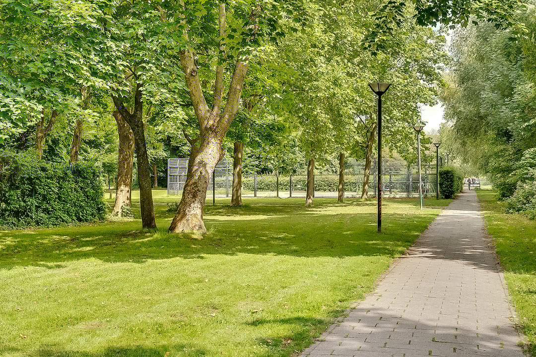 Foto 46 van Kwartelstraat 62