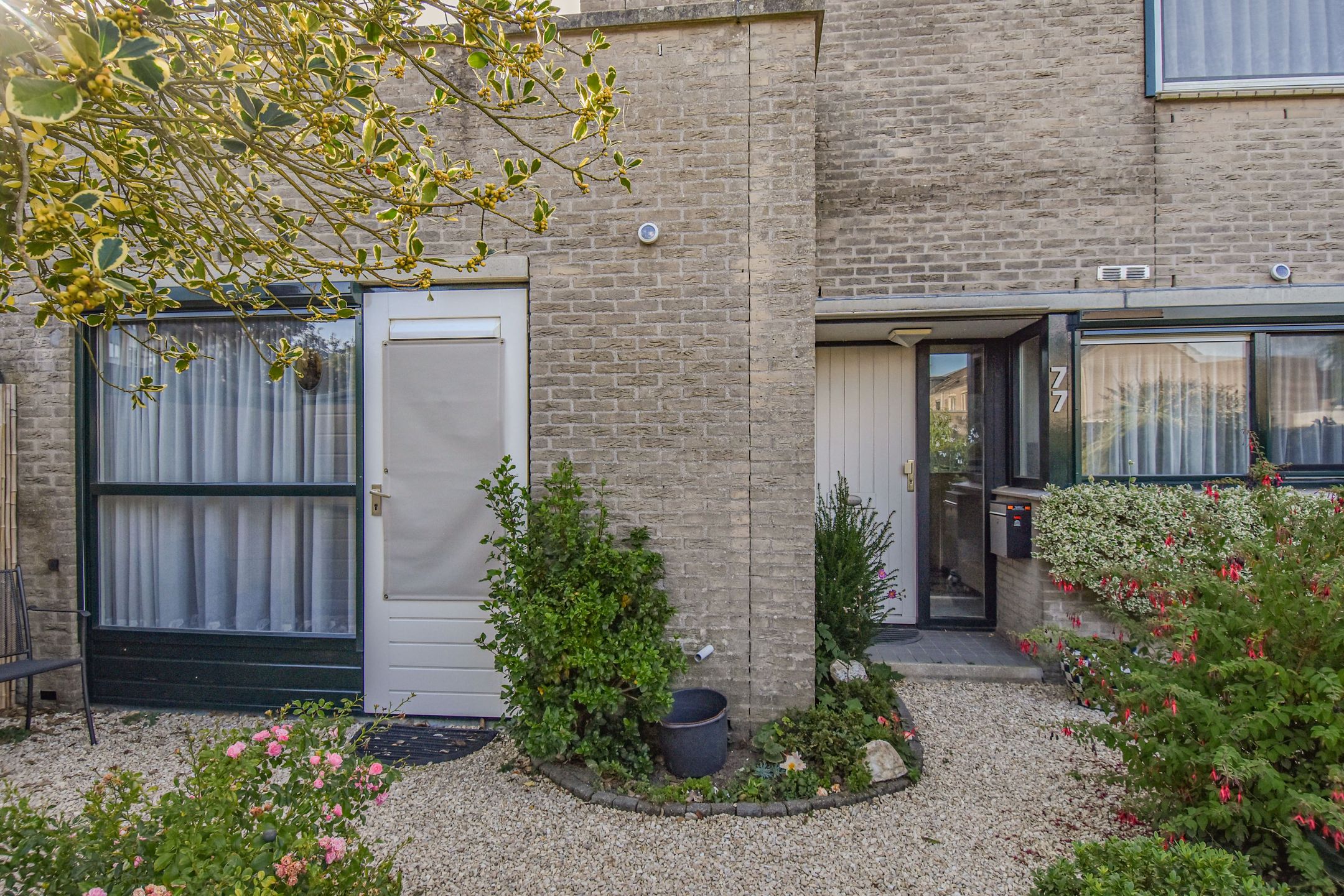 Photo 6 of Zenobiagang 77