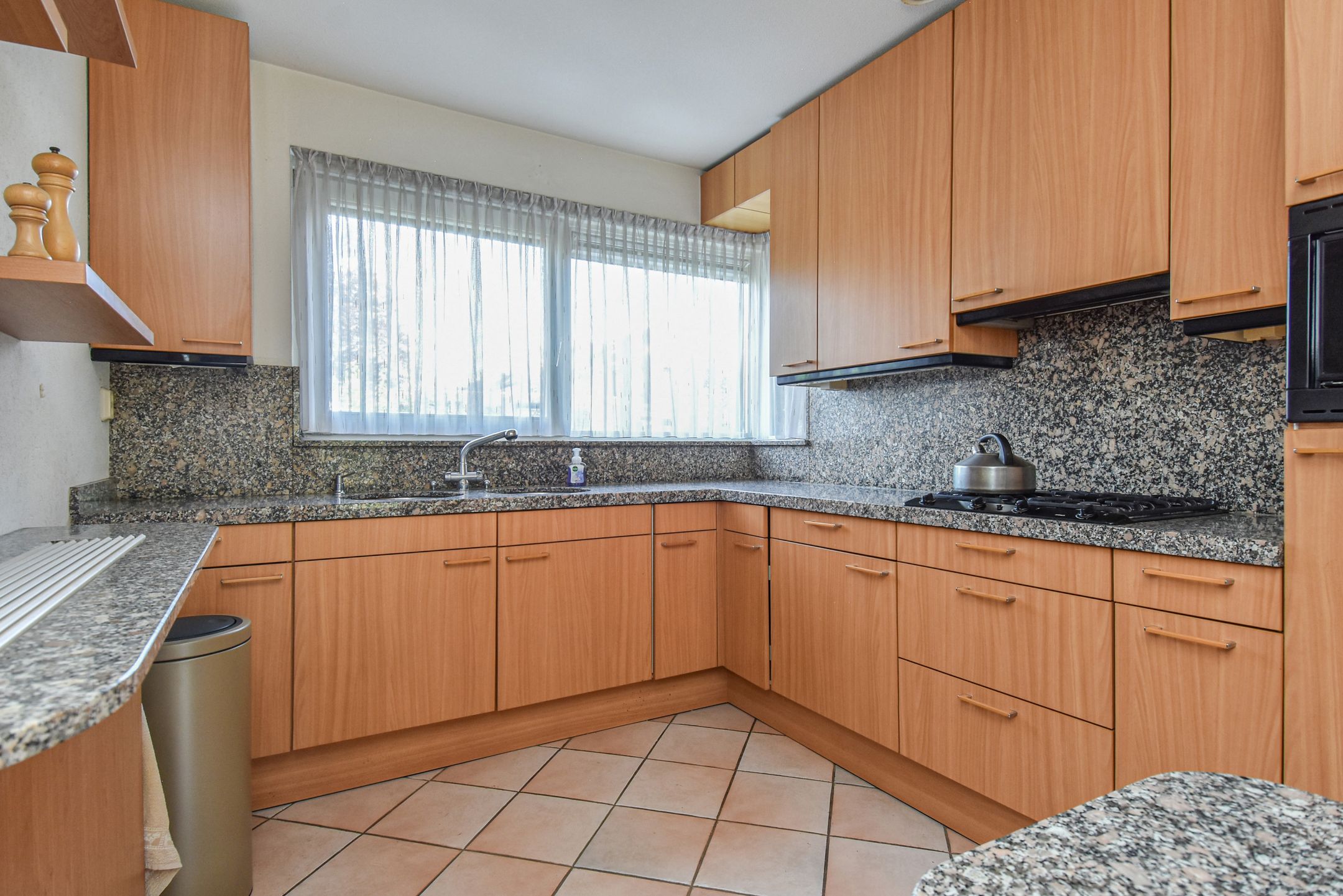 Photo 15 of Zenobiagang 77