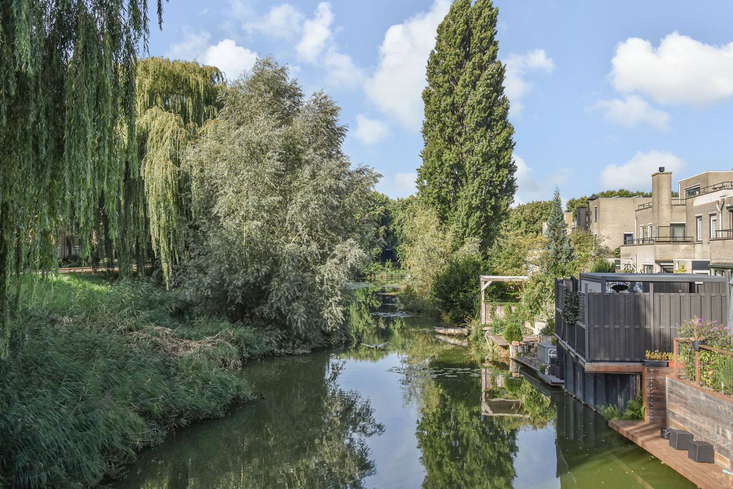 Photo 34 of Zenobiagang 77