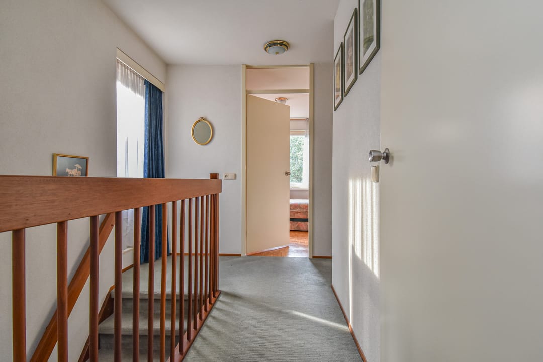 Photo 38 of Zenobiagang 77