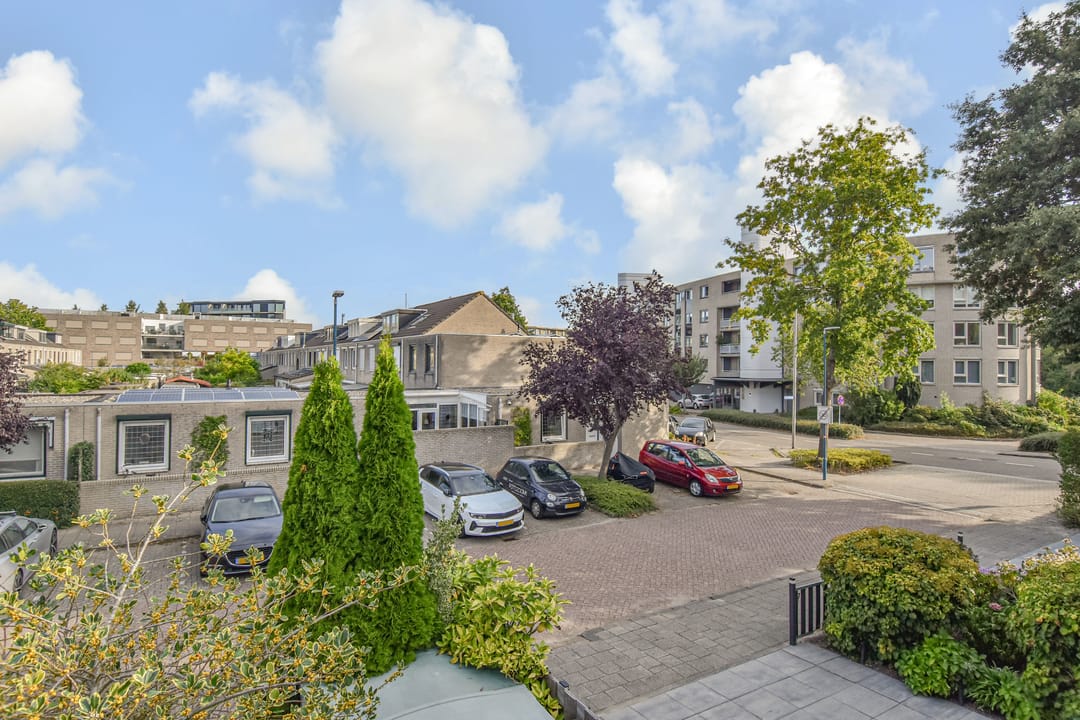 Photo 56 of Zenobiagang 77