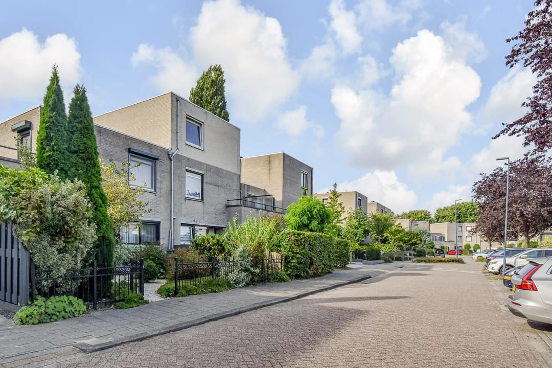 Photo 58 of Zenobiagang 77