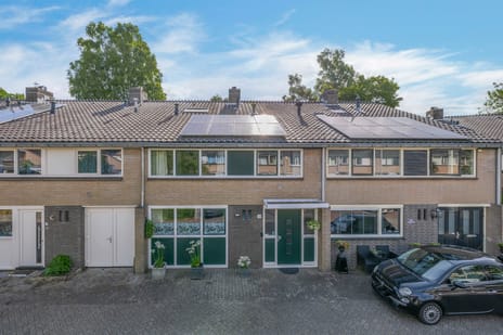 undefined main image