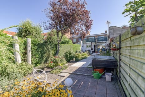 undefined main image