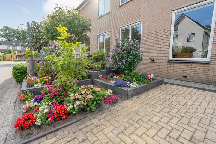 Foto 35 van Iepenlaan 20