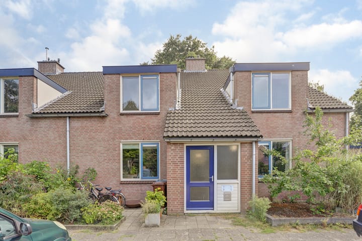 Foto 1 van Leeuwerik 11