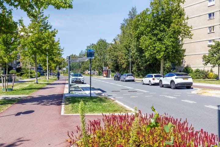 Foto 24 van Hannie Schaftstraat 24