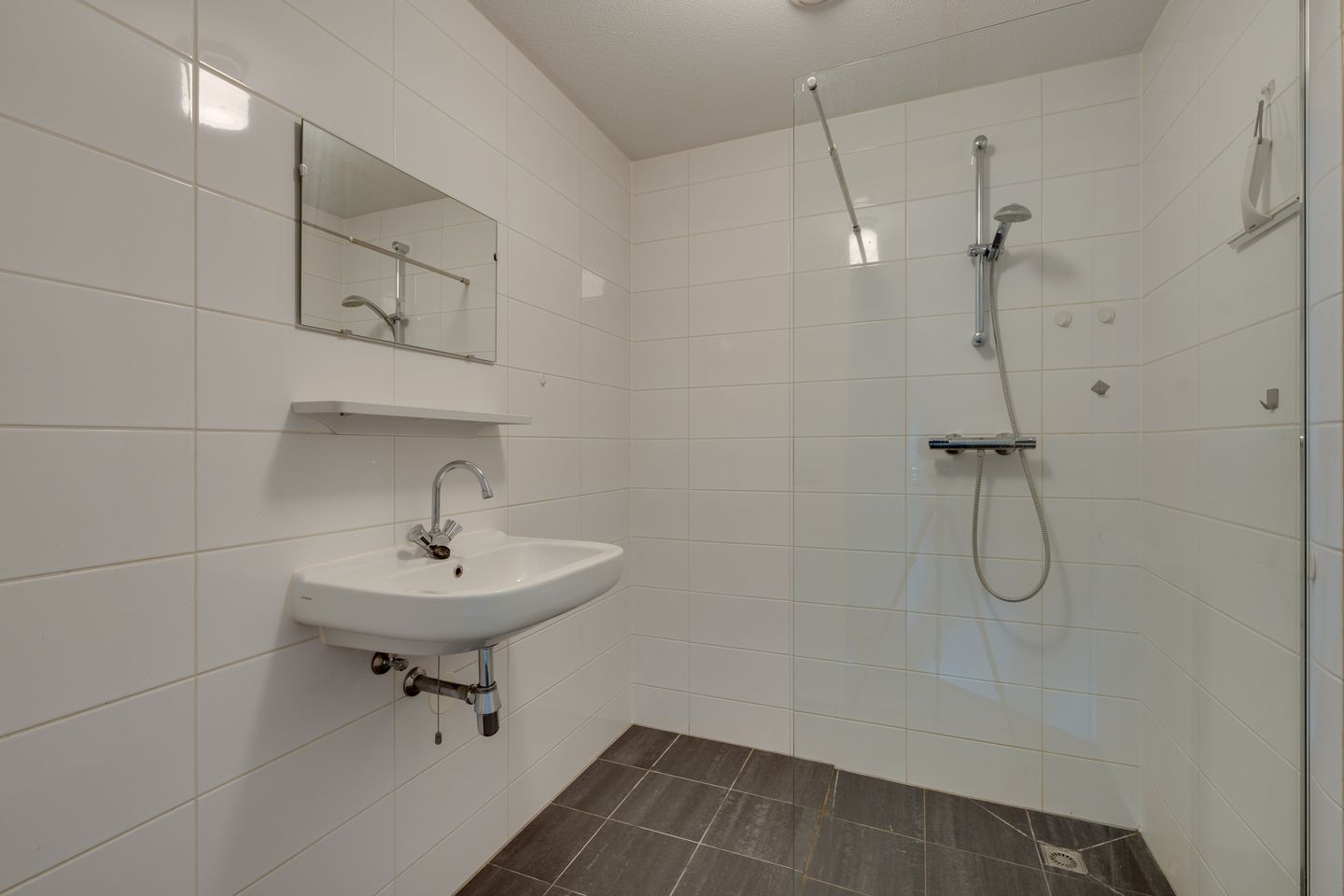 Foto 10 van Mosveld 96-B