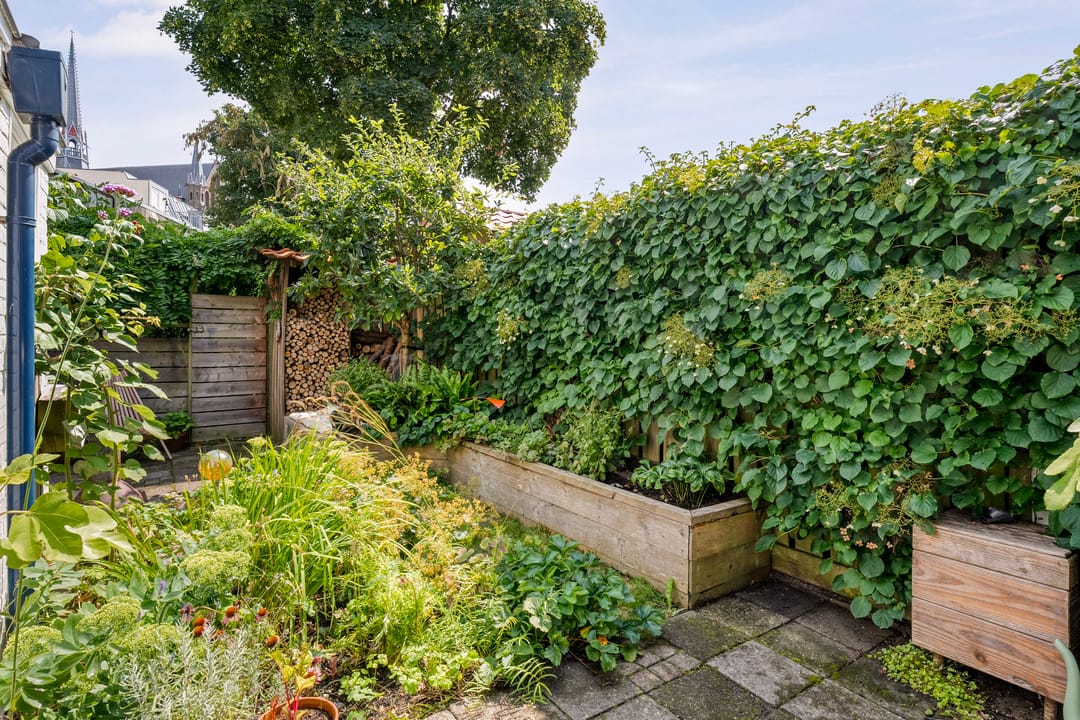 Photo 31 of Van der Laenstraat 11