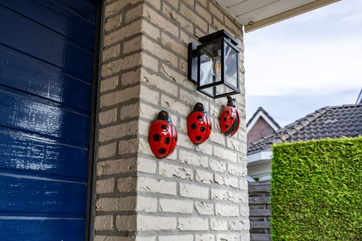 Foto 19 van Willem Dreeslaan 52