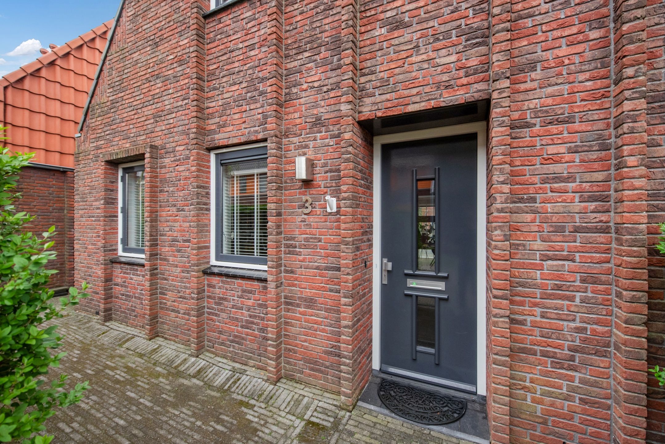 Foto 6 van Ribbelzegge 3