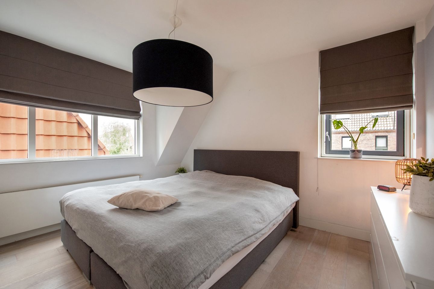 Foto 20 van Ribbelzegge 3