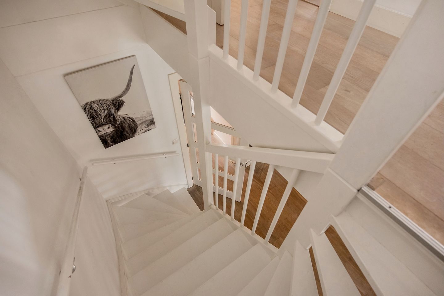 Foto 25 van Ribbelzegge 3