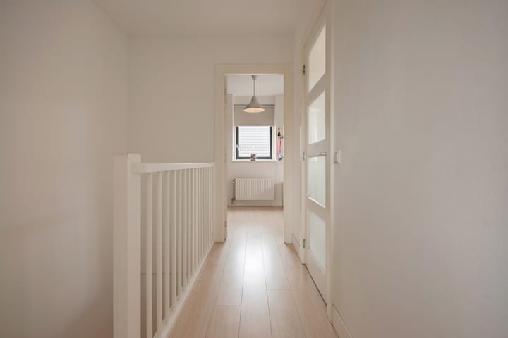 Foto 26 van Ribbelzegge 3